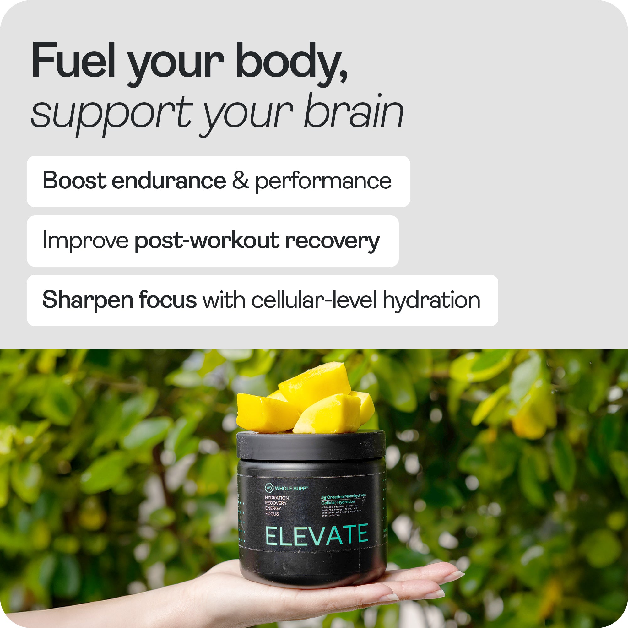 Elevate Creatine Electrolyte