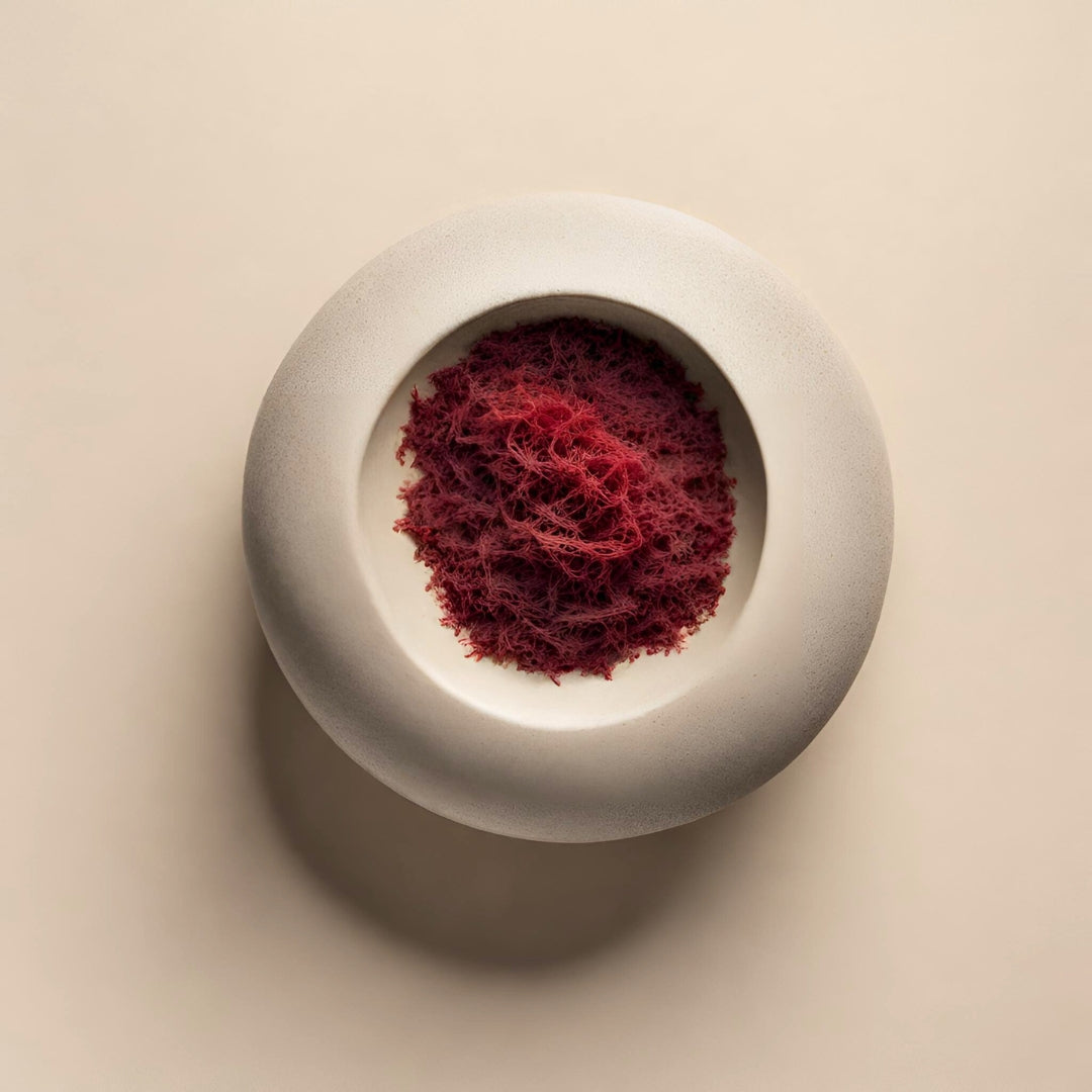 Red Sea Algae